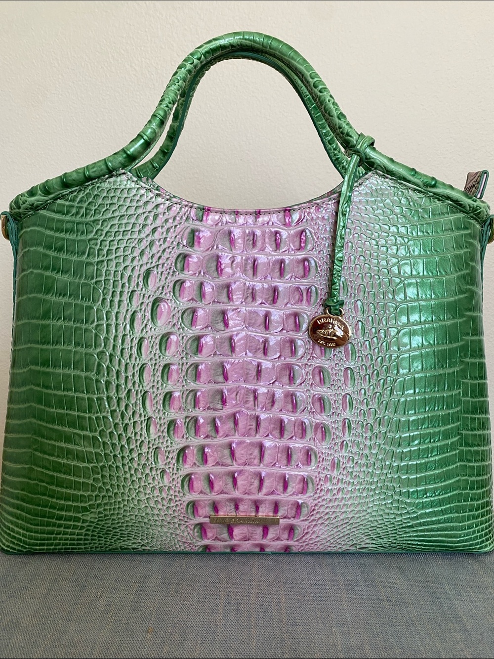 Brahmin Elaine Apple Blush ombre